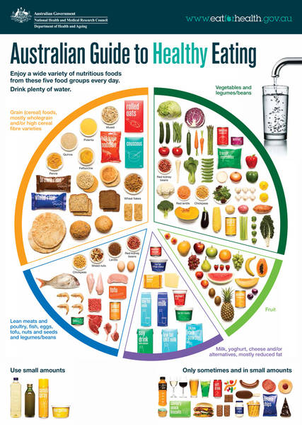 Nutrition Guide 
